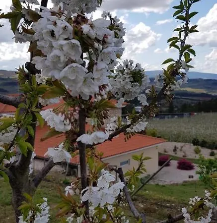 Quinta Bemboa Turismo Espaco Rural