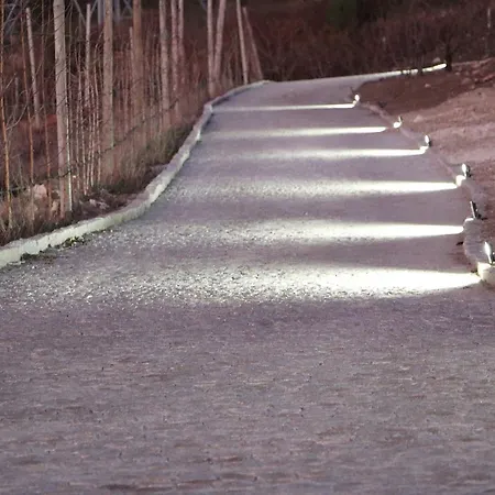 Quinta Bemboa Turismo Espaco Rural 펜션 *