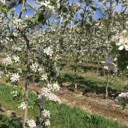 Quinta Bemboa Turismo Espaco Rural 아리세라