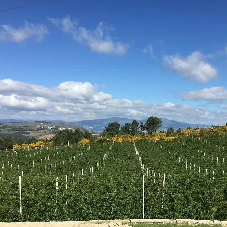 Quinta Bemboa Turismo Espaco Rural *