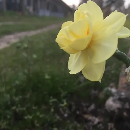 Quinta Bemboa Turismo Espaco Rural 아리세라