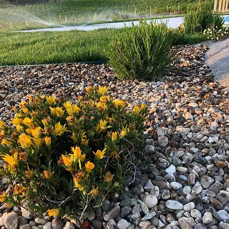 펜션 Quinta Bemboa Turismo Espaco Rural 아리세라