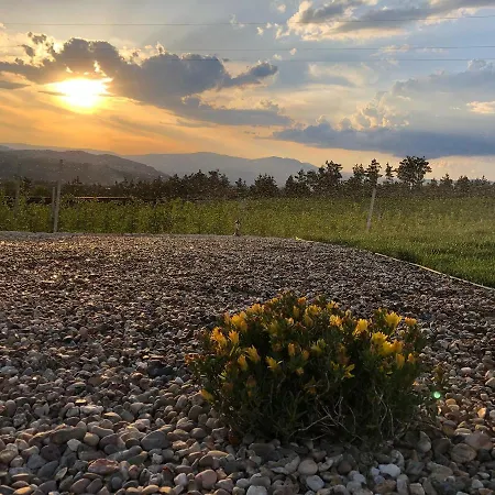 Quinta Bemboa Turismo Espaco Rural 펜션 아리세라