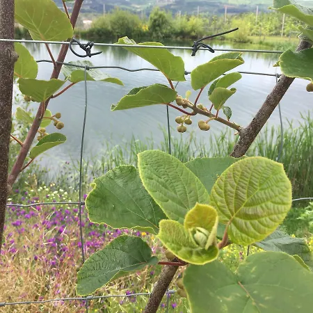 Quinta Bemboa Turismo Espaco Rural * 아리세라