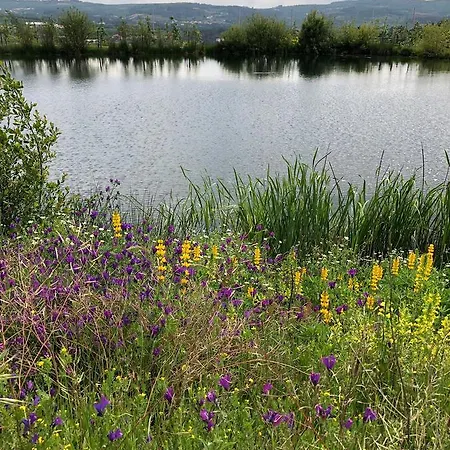 Quinta Bemboa Turismo Espaco Rural 펜션 아리세라