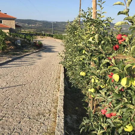 펜션 Quinta Bemboa Turismo Espaco Rural