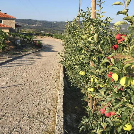 Holiday home Quinta Bemboa Turismo Espaco Rural