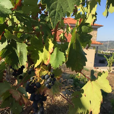 Quinta Bemboa Turismo Espaco Rural * Aricera