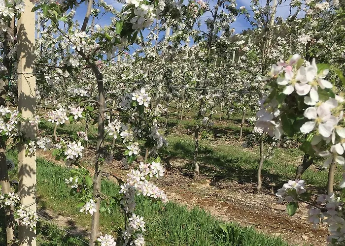 Quinta Bemboa Turismo Espaco Rural Aricera