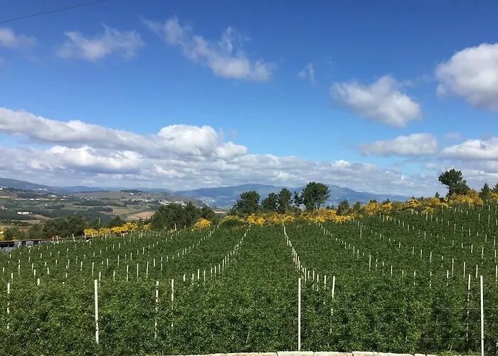 Quinta Bemboa Turismo Espaco Rural *