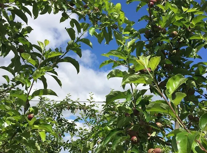 Quinta Bemboa Turismo Espaco Rural Ferienhaus *