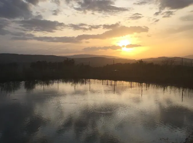 Ferienhaus Quinta Bemboa Turismo Espaco Rural *