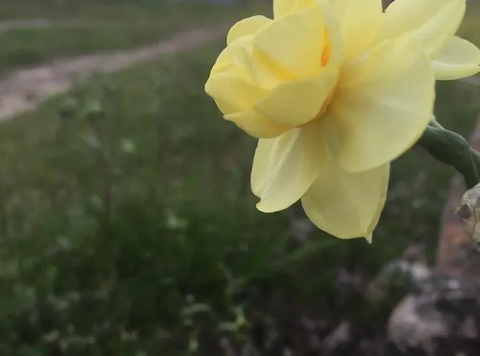 Quinta Bemboa Turismo Espaco Rural Aricera