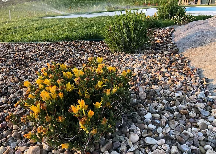 Holiday home Quinta Bemboa Turismo Espaco Rural Aricera