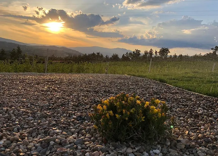 Quinta Bemboa Turismo Espaco Rural Prázdninový dům Aricera