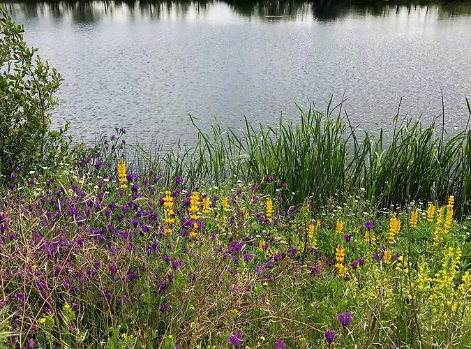 Quinta Bemboa Turismo Espaco Rural Nyaraló Aricera