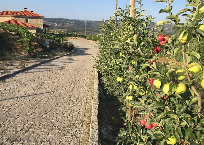 Prázdninový dům Quinta Bemboa Turismo Espaco Rural