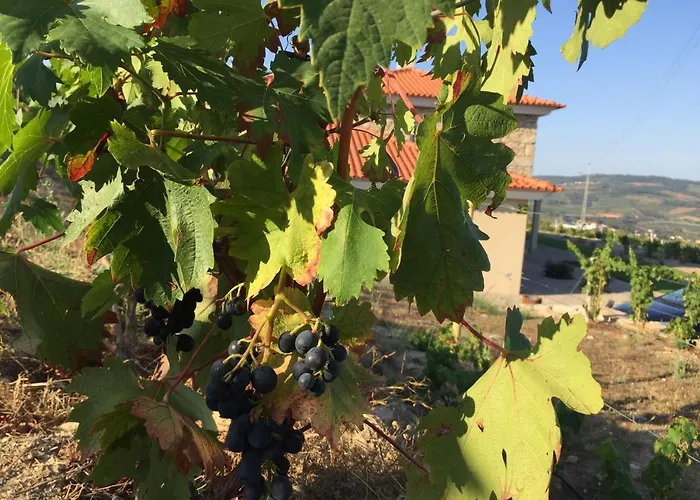 Quinta Bemboa Turismo Espaco Rural * Aricera